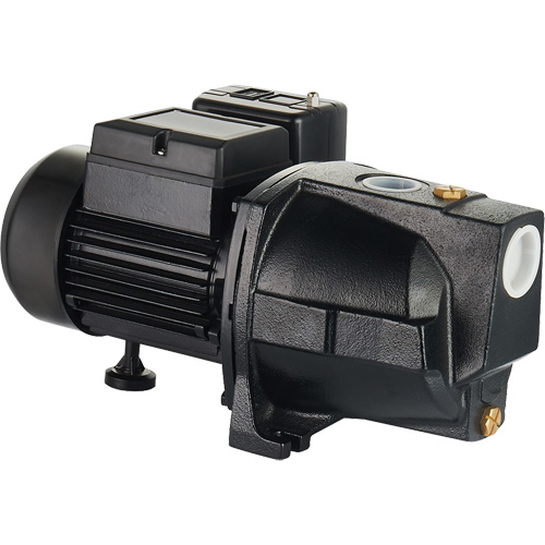 Pompe &agrave; jet en fonte &agrave; double tension pour puit peu profond, 115 V/230 V, 1100 gal./h, 1 CV Oxford Builders Supplies Inc