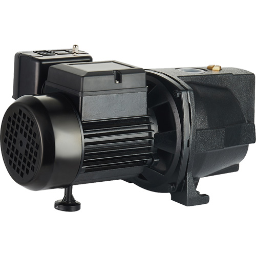 Pompe &agrave; jet en fonte &agrave; double tension pour puit peu profond, 115 V/230 V, 1100 gal./h, 1 CV Oxford Builders Supplies Inc