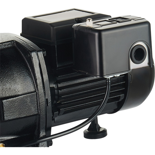 Pompe &agrave; jet en fonte &agrave; double tension pour puit peu profond, 115 V/230 V, 1100 gal./h, 1 CV Oxford Builders Supplies Inc