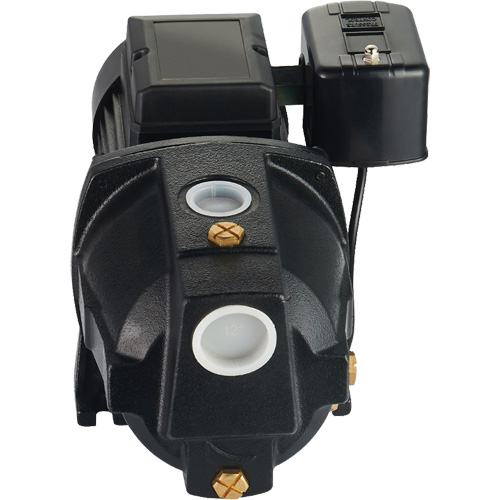 Pompe &agrave; jet en fonte &agrave; double tension pour puit peu profond, 115 V/230 V, 1100 gal./h, 1 CV Oxford Builders Supplies Inc
