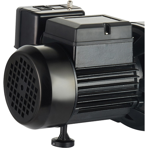 Pompe &agrave; jet en fonte &agrave; double tension pour puit peu profond, 115 V/230 V, 1100 gal./h, 1 CV Oxford Builders Supplies Inc