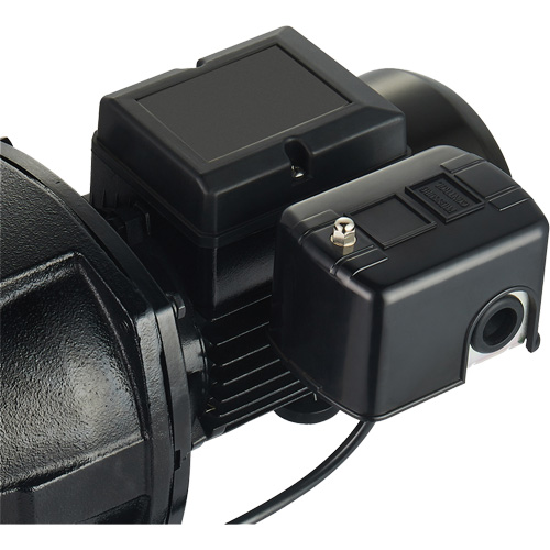 Pompe &agrave; jet en fonte &agrave; double tension pour puit peu profond, 115 V/230 V, 1100 gal./h, 1 CV Oxford Builders Supplies Inc