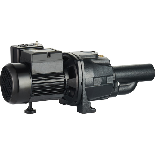 Dual Voltage Cast Iron Convertible Jet Pump, 115 V/230 V, 1400 GPH, 3/4 HP Oxford Builders Supplies Inc