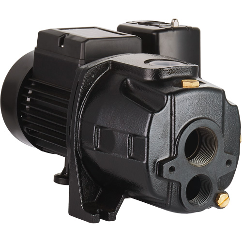 Dual Voltage Cast Iron Convertible Jet Pump, 115 V/230 V, 1400 GPH, 3/4 HP Oxford Builders Supplies Inc