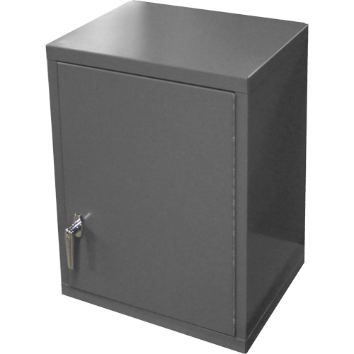 Wall-Mounted Cabinet, 27" H x 13-11/16" W x 18" D, 2 Shelves, Steel, Grey Oxford Builders Supplies Inc