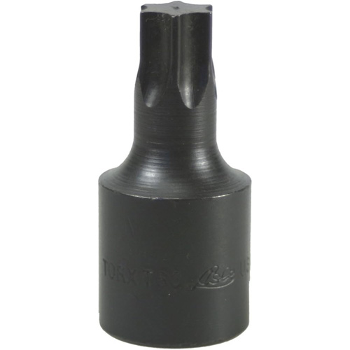 Douille &agrave; embout, Torx, T-60, Prise 1/2" Oxford Builders Supplies Inc
