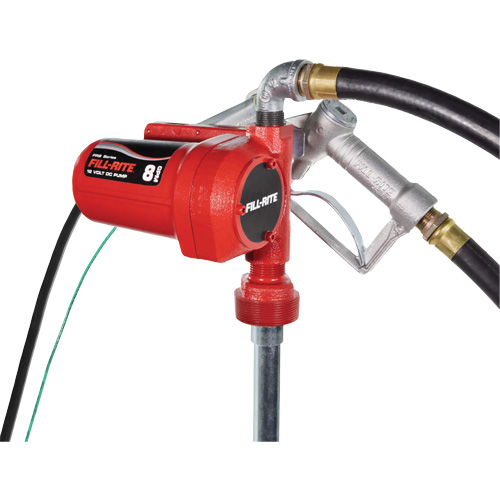 Pompe de transfert de carburant 12 V CC avec pistolet Oxford Builders Supplies Inc