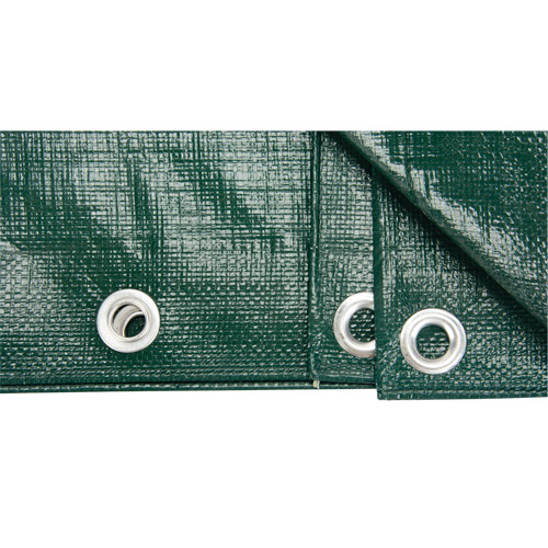 B&acirc;che, Robuste, Vert, 8' x 6' x 9 mils Oxford Builders Supplies Inc