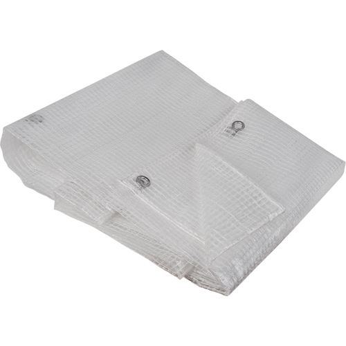 B&acirc;ches transparentes, 10' x 8' x 8 mils Oxford Builders Supplies Inc