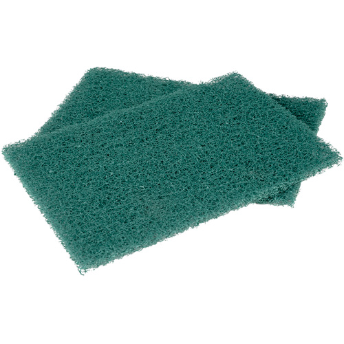 Tampons manuels Scotch-Brite, &agrave; r&eacute;curer, 6" la x 9" l Oxford Builders Supplies Inc