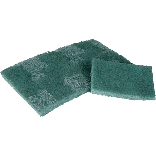 Tampon de r&eacute;curage, 3" lo x 4-1/2" la Oxford Builders Supplies Inc