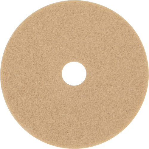 Trizact Diamond TZ Abrasive Strip, 20", Burnishing, Beige Oxford Builders Supplies Inc