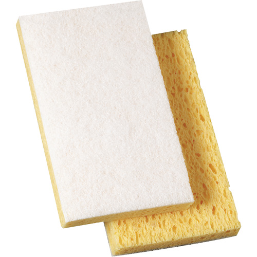Scotch-Brite Light Duty Scrub Sponge, 3-3/5" L x 6" W Oxford Builders Supplies Inc