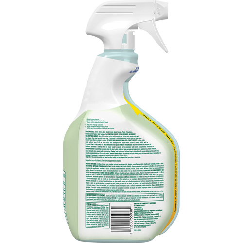 Nettoyant d&eacute;sinfectant CloroxPro Clorox EcoClean, 946 ml, Bouteille &agrave; g&acirc;chette Oxford Builders Supplies Inc