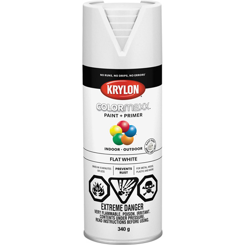 Appr&ecirc;t + peinture COLORmaxx, Blanc, Tr&egrave;s mat, 12 oz, Canette a&eacute;rosol Oxford Builders Supplies Inc
