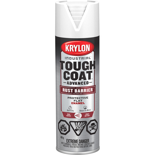 Peinture Tough Coat avec technologie Rust Barrier, Blanc, Plat, 425 g, Canette a&eacute;rosol Oxford Builders Supplies Inc
