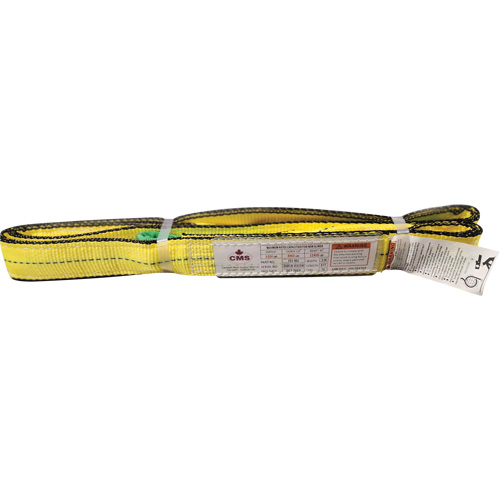 &eacute;lingue en sangle de polyester, Pli Double, Oeillets renvers&eacute;s, Type 4, 2" la x 8' lo, Capacit&eacute; verticale 6400 lb Oxford Builders Supplies Inc