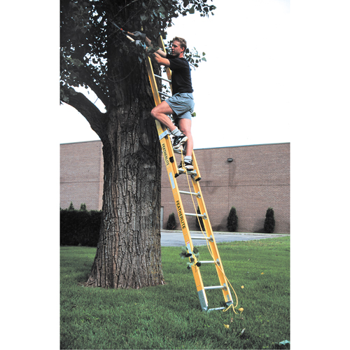 Industrial Heavy-Duty Extension Ladders (6200 Series), 375 lbs. Cap., 13' H, Grade 1AA Oxford Builders Supplies Inc