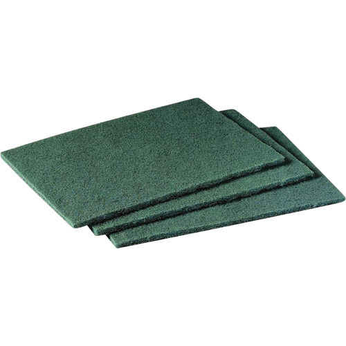 Tampons manuels Scotch-Brite, 9" lo x 6" la Oxford Builders Supplies Inc