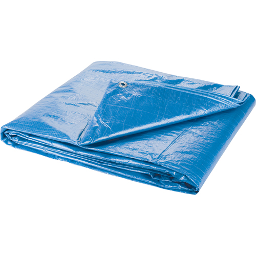 B&acirc;che, Standard, Bleu, 7' x 5' x 4 mils Oxford Builders Supplies Inc