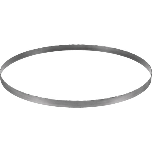 Cordless Band Saw Blade, Bi-Metal, 32-7/8" L x 0.02" Thick, 14-18 TPI Oxford Builders Supplies Inc
