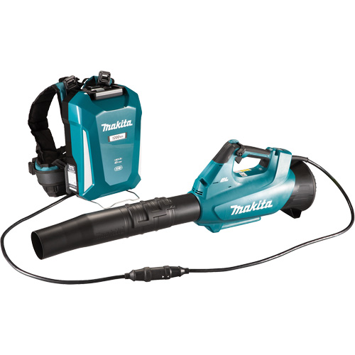 Souffleur turbo LXT (outil seulement), 18 V, Vitesse d'air 157 mi/h, &agrave; pile Oxford Builders Supplies Inc