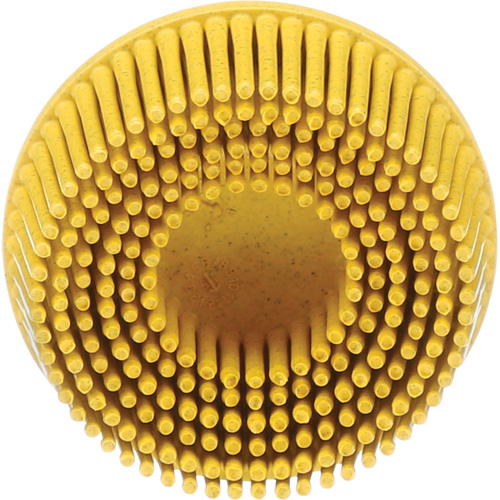 Scotch-Brite Roloc Bristle Disc, Ceramic, Medium Grit, 2" Dia. Oxford Builders Supplies Inc