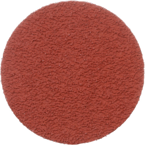 Disque &agrave; d&eacute;ligner durable II Roloc Cubitron, 2" dia., Grain 60+, C&eacute;ramique Oxford Builders Supplies Inc