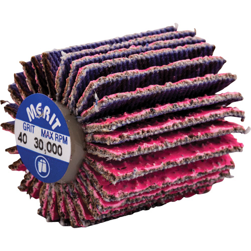 Threaded Mini Flap Wheel, Ceramic Alumina, 40 Grit, 1" x 1" x 1/4"-20 Oxford Builders Supplies Inc