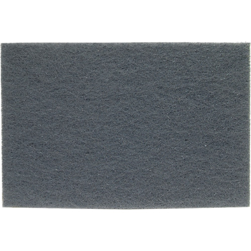 Tampons manuels Bear-Tex, Carbure de silicium, 6" x 9", Grain Ultra fin Oxford Builders Supplies Inc