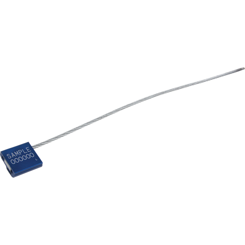 Scell&eacute;s haute s&eacute;curit&eacute; FlexiGrip, 12", M&eacute;tal, Scell&eacute; &agrave; c&acirc;ble Oxford Builders Supplies Inc