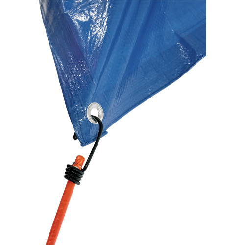 Sangles d'arrimage &eacute;lastiques, 12" Oxford Builders Supplies Inc