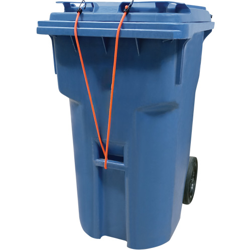 Sangles d'arrimage &eacute;lastiques, 12" Oxford Builders Supplies Inc