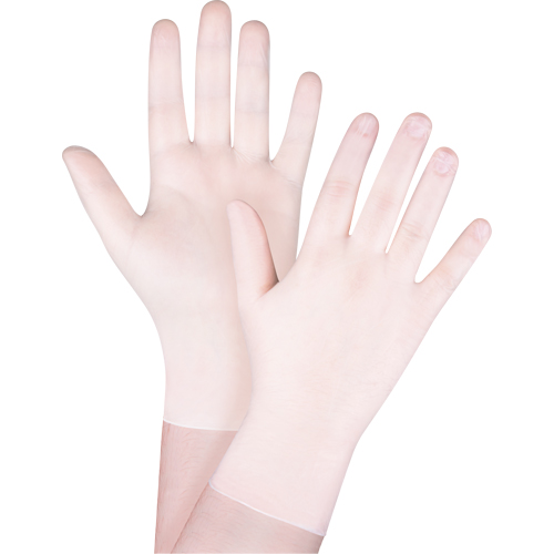 Disposable Gloves, X-Small, Vinyl, 4-mil, Powder-Free, White Oxford Builders Supplies Inc