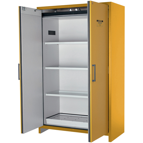 Armoire d'entreposage 90 minutes s&eacute;curitaire et conforme &agrave; la norme EN, 45 gal., 2 Porte(s), 46,97" La x 76,89" h x 24,21" p Oxford Builders Supplies Inc
