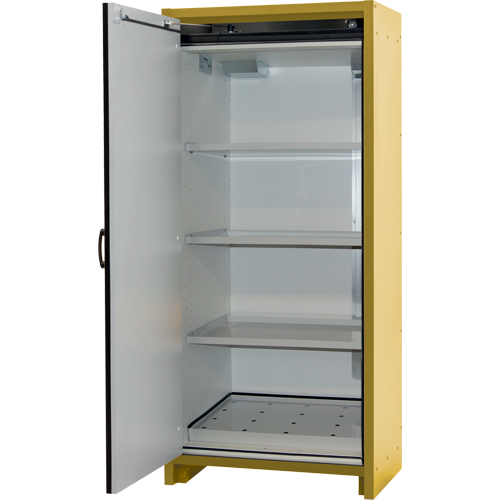 Armoire d'entreposage 30 minutes s&eacute;curitaire et conforme &agrave; la norme EN, 30 gal., 1 Porte(s), 34,02" La x 76,65" h x 24,21" p Oxford Builders Supplies Inc