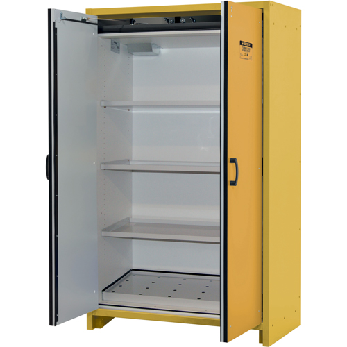Armoire d'entreposage 30 minutes s&eacute;curitaire et conforme &agrave; la norme EN, 45 gal., 2 Porte(s), 45,83" La x 76,65" h x 24,21" p Oxford Builders Supplies Inc