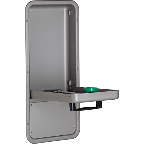 Eye/Face Wash Station, Wall-Mount Installation, Stainless Steel Bowl Oxford Builders Supplies Inc