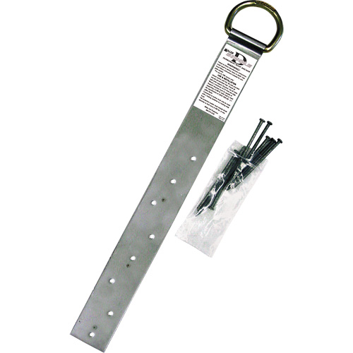 Ancrage simple pour toiture Miller, Anneau en D, Usage Permanent Oxford Builders Supplies Inc
