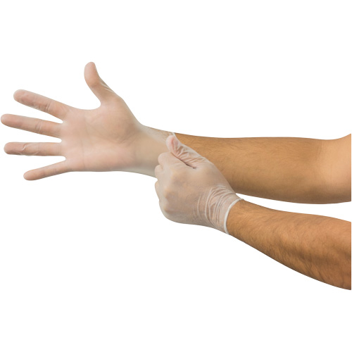 MICROFLEX Derma Free DF-850 Disposable Gloves, 6.5/7/Small, Vinyl, 3.1-mil/3.5-mil, Powder-Free, Clear, Class 2 Oxford Builders Supplies Inc