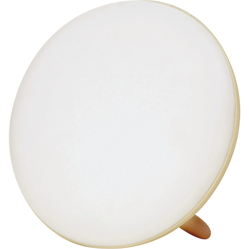 Lampe &agrave; luminoth&eacute;rapie pour le traitement de la d&eacute;pression saisonni&egrave;re Oxford Builders Supplies Inc