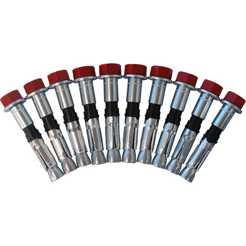 Replacement Bolt Kit for Concrete D-Ring Anchors, Bolt-On, Permanent/Temporary Use Oxford Builders Supplies Inc