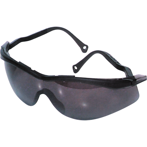 Lunettes de s&eacute;curit&eacute; North The Edge, Lentille Fum&eacute;e, Antibu&eacute;e/Anti-&eacute;gratignures, R&eacute;pond ou surpasse la norme CSA Z94.3 Oxford Builders Supplies Inc