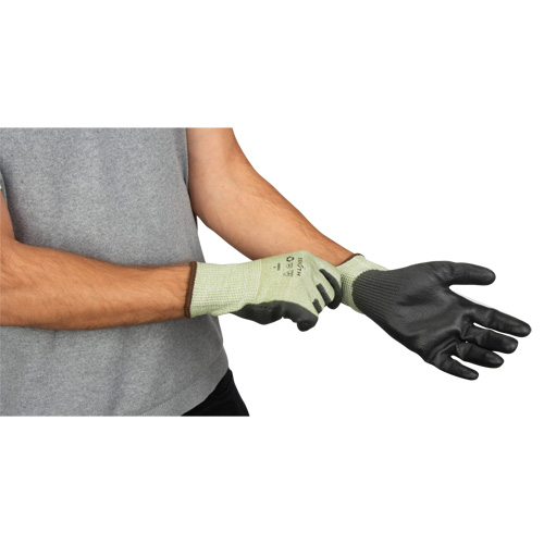 Gants &eacute;lastiques &eacute;cologiques sans coutures r&eacute;sistants &agrave; la coupe, Taille 8, Calibre 13, Rev&ecirc;tement Polyur&eacute;thane, Enveloppe en PEHP/rPET, ASTM ANSI niveau A4 Oxford Builders Supplies Inc