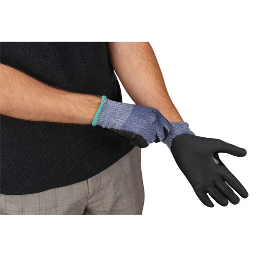 Gants r&eacute;sistant &agrave; la coupe, Taille T-Grand, Calibre 15, Rev&ecirc;tement Mousse de nitrile, Enveloppe en PEHP, ASTM ANSI niveau A3 Oxford Builders Supplies Inc