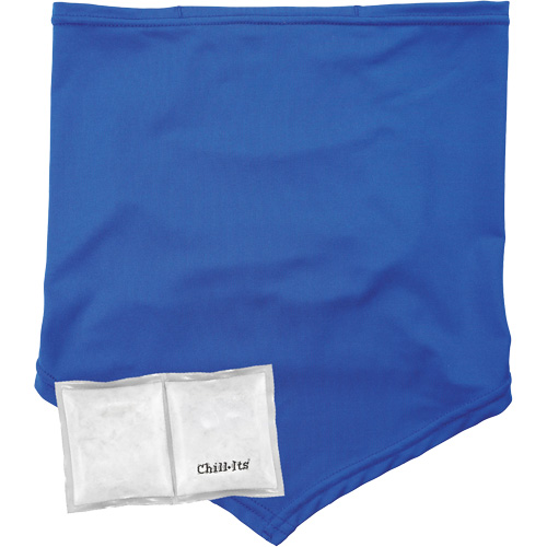 Cache-cou/bandana de refroidissement Chill-Its 6482 avec sachet r&eacute;frig&eacute;rant &agrave; changement de phase r&eacute;utilisable, petit/moyen, Bleu Oxford Builders Supplies Inc