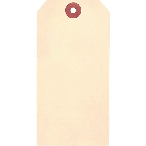 Manila Blank Tags, Cardstock, 1-3/8" W x 2-3/4" H Oxford Builders Supplies Inc