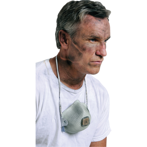 Respirateurs  contre les particules 2700, N95, Certifi&eacute; NIOSH, Grand/Moyen Oxford Builders Supplies Inc