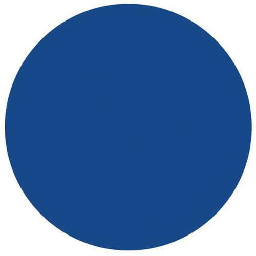 Round Write-On Labels, Circle, 1.5" L x 1.5" W, Blue Oxford Builders Supplies Inc