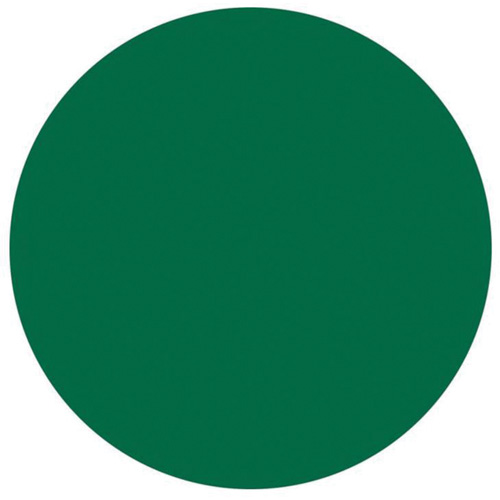 Round Write-On Labels, Circle, 3" L x 3" W, Green Oxford Builders Supplies Inc